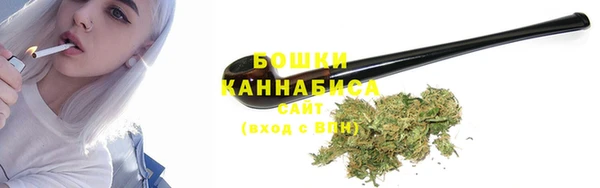 PSILOCYBIN Богородск