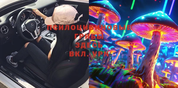 прущие грибы Армянск