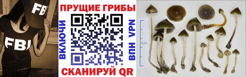 Галлюциногенные грибы мухоморы как найти закладки Козьмодемьянск